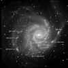 M101_08int.jpg (57418 Byte)